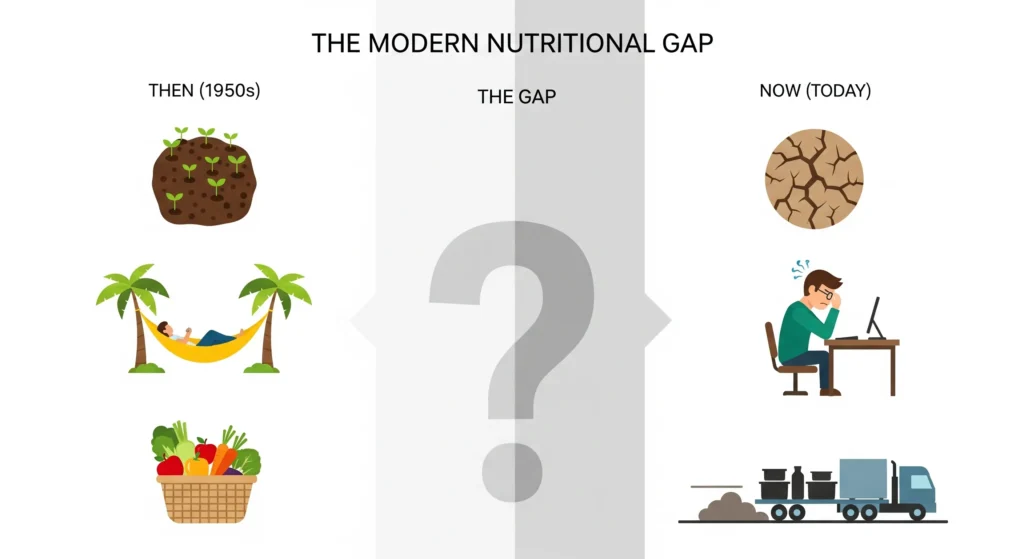 A visually appealing and simple infographic. It shows three columns. The first, “Then (1950s),” displays icons of rich soil, a less stressful lifestyle, and a basket of local produce. The second, “The Gap,” is an empty space representing the nutritional gap. The third, “Now (Today),” shows icons of depleted soil, a stressed person in an office, and a food transport truck on a highway. The title of the infographic is “The Modern Nutritional Gap.”